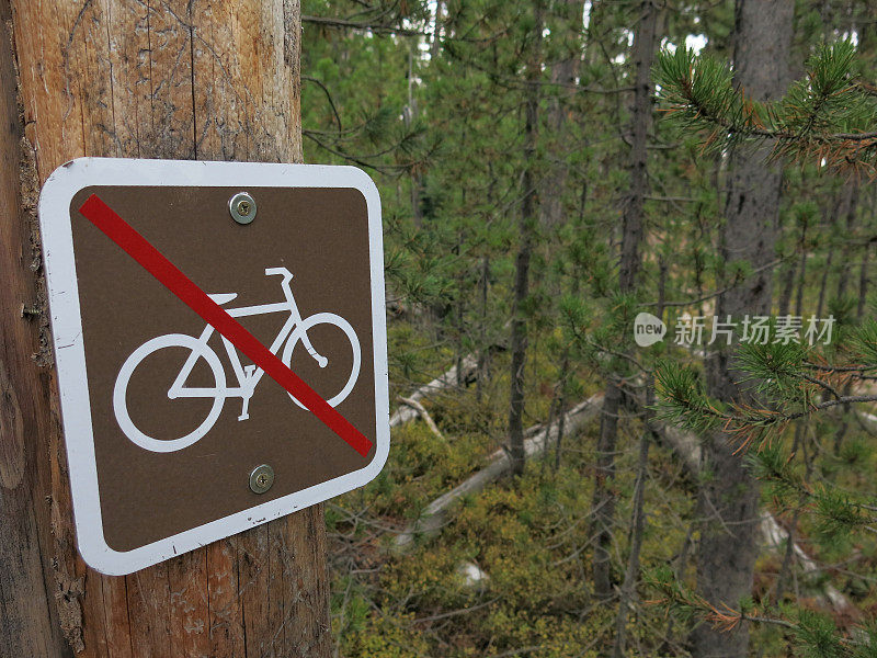 No Mountain Bike Riding Allowed Directional Sign in Wooded Forest